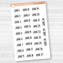 Dates of the Month Planner Stickers and Labels | F8 | B-387-392-B