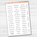 US Holiday Jen Plans Script Planner Stickers | F17 Script | S-067