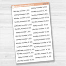 Dates of the Month - Jul-Dec 2025 Planner Stickers | F17 Print | B-790-795-B