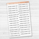 Dates of the Month - Jul-Dec 2025 Planner Stickers | F17 Print Clear Matte | B-790-795-BCM