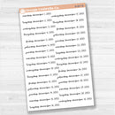 Dates of the Month - Jul-Dec 2025 Planner Stickers | F17 Script | B-802-807-B