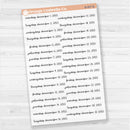 Dates of the Month - Jul-Dec 2025 Planner Stickers | F17 Script Clear Matte | B-802-807-BCM