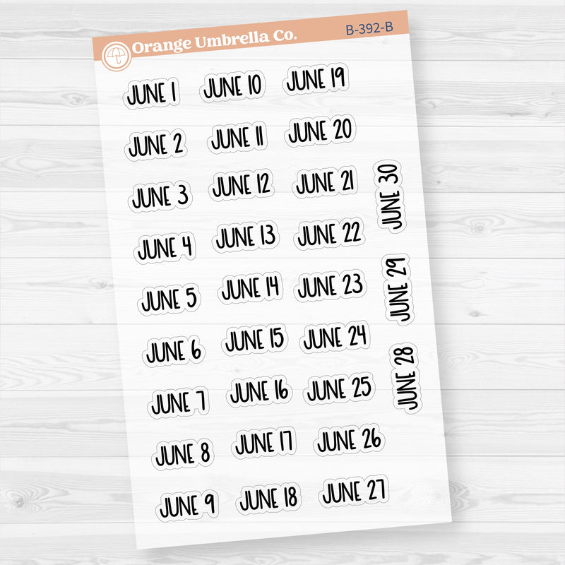 Dates of the Month Planner Stickers and Labels | F8 Clear Matte | B-387-392-BCM