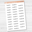 Dates of the Month Planner Stickers and Labels | F16 Script | B-736-741-B