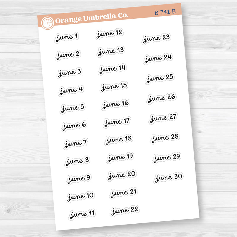 Dates of the Month Planner Stickers and Labels | F16 Script | B-736-741-B