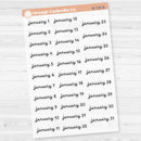 Dates of the Month Planner Stickers and Labels | F16 Script Clear Matte | B-736-741-BCM