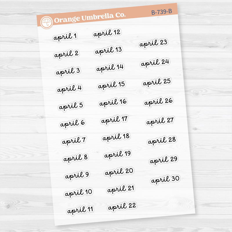 Dates of the Month Planner Stickers and Labels | F16 Script Clear Matte | B-736-741-BCM