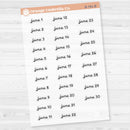 Dates of the Month Planner Stickers and Labels | F16 Script Clear Matte | B-736-741-BCM
