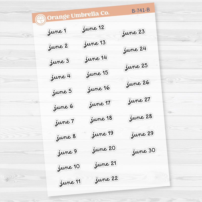 Dates of the Month Planner Stickers and Labels | F16 Script Clear Matte | B-736-741-BCM