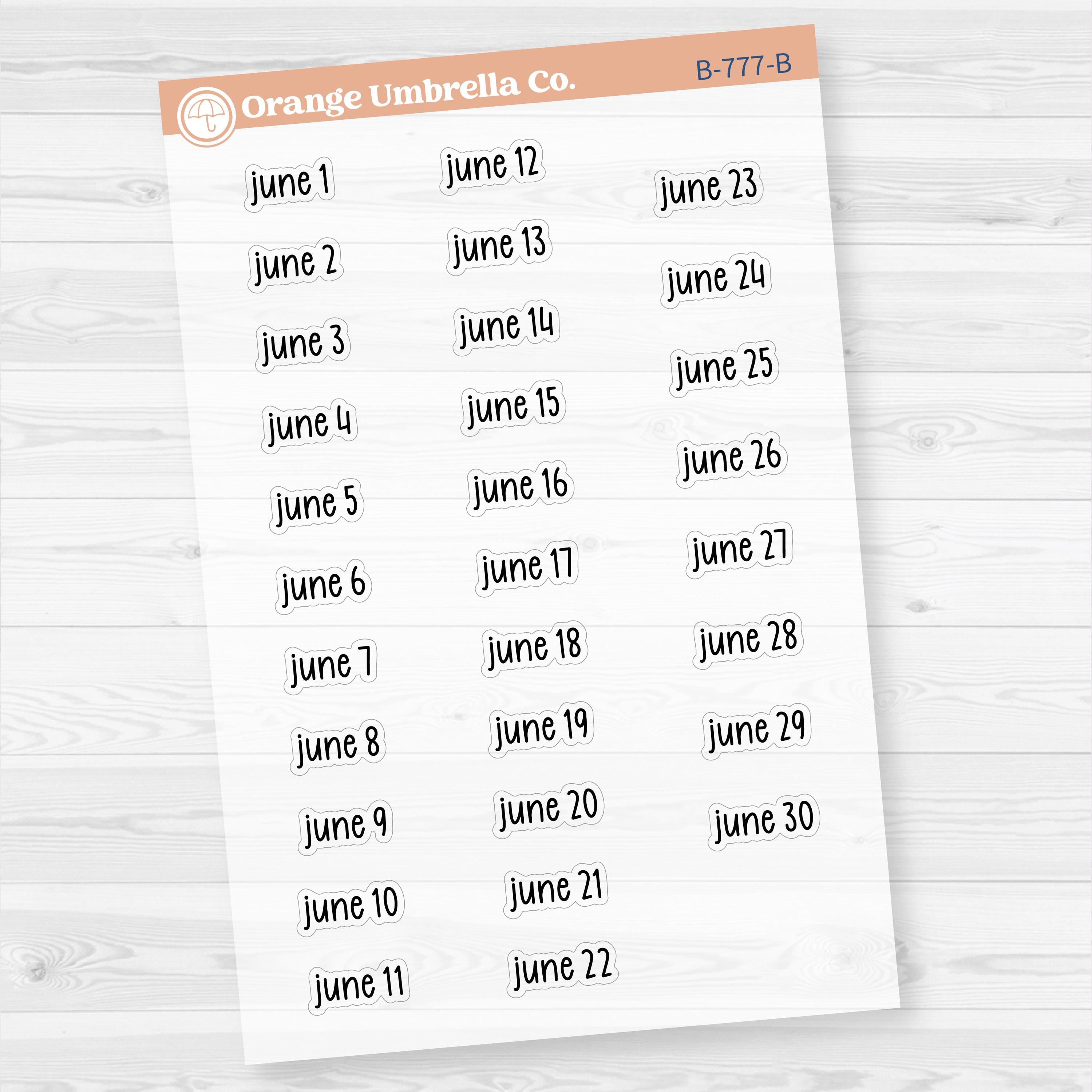 Dates of the Month Planner Stickers and Labels | F17 Print Clear Matte | B-772-777-BCM