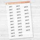 Dates of the Month Planner Stickers and Labels | F17 Print Clear Matte | B-772-777-BCM