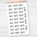 Dates of the Month Planner Stickers and Labels | F8 Clear Matte | B-393-398-BCM