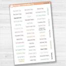 US Holiday Script Planner Stickers | F17 Print | S-018