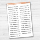 Dates of the Month - Jan-Jun 2025 Planner Stickers | F17 Print | B-784-789-B