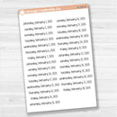 Dates of the Month - Jan-Jun 2025 Planner Stickers | F17 Print | B-784-789-B