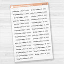 Dates of the Month - Jul-Dec 2025 Planner Stickers | F17 Script Clear Matte | B-802-807-BCM