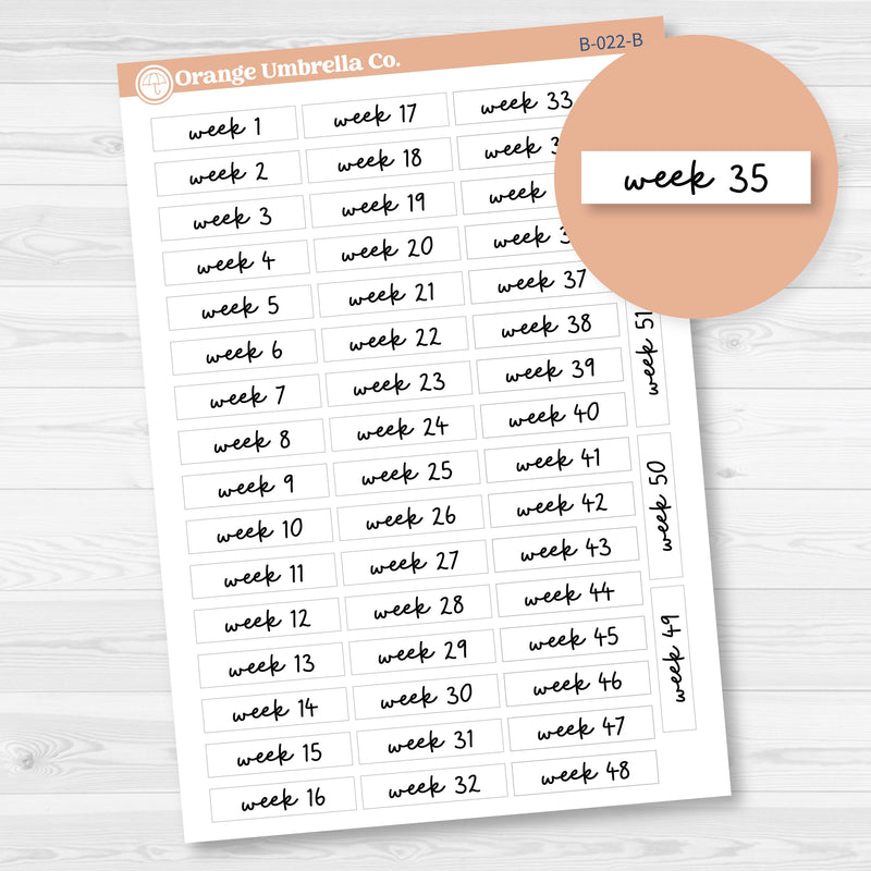 Week 1-52 Binder Kit Storage Labels Planner Stickers | F17 Script | B-022-B