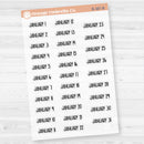 Dates of the Month Planner Stickers and Labels | F8 Clear Matte | B-387-392-BCM