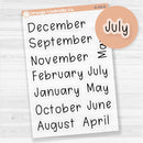 Julie's Plans Months Planner Stickers; Large Sized | FJF Clear Matte | B-106-BCM