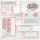 Winter Snowman Kit | A5 Plum Monthly & Dashboard Planner Kit Stickers | Frosted | KIT-362-S