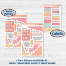 Birthday Planner Kit | Journaling Kit Planner Stickers | Give Them Cake | KIT-367-D