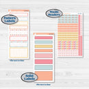 Birthday Planner Kit | 7x9 Erin Condren Daily Duo Planner Kit Stickers | Give Them Cake | KIT-367-M