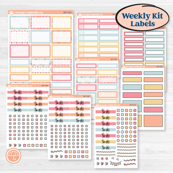 Birthday Planner Kit | Weekly Add-On Labels Planner Kit Stickers | Give Them Cake | KIT-367-C