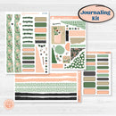 Spring Floral Kit | Journaling Kit Planner Stickers | Lil Spring Thing | KIT-372-D