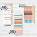 Easter Folk Art Kit | 7x9 Erin Condren Daily Duo Planner Kit Stickers | Some Bunny | KIT-376-M