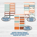 Rainy Day April Kit | A5 Daily Duo Planner Kit Stickers | Sun Showers | KIT-378-L