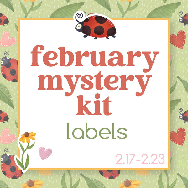 February Ladybug Mystery Kit | Weekly Add-On Labels Planner Kit Stickers | Little Lady | KIT-MK35-C