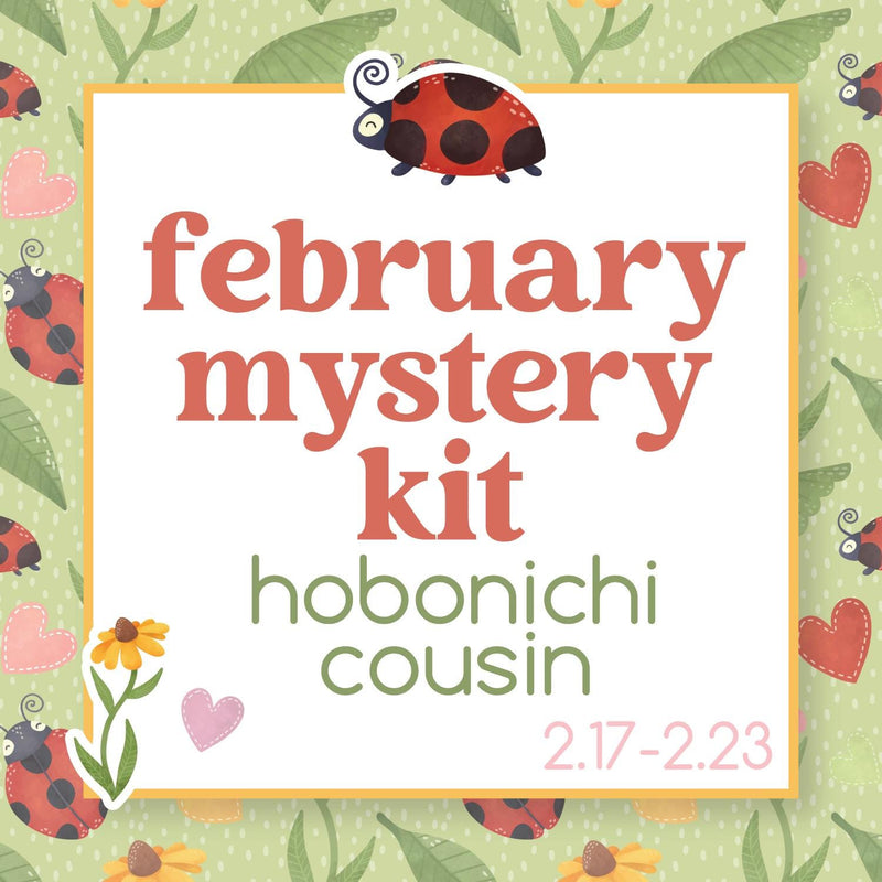 February Ladybug Mystery Kit | Hobonichi Cousin Weekly & Daily Planner Kit Stickers | Little Lady | KIT-MK35-E