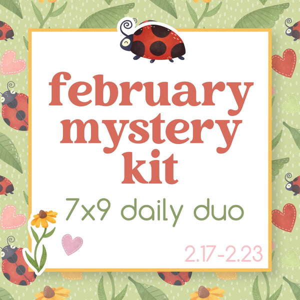 February Ladybug Mystery Kit | 7x9 Erin Condren Daily Duo Planner Kit Stickers | Little Lady | KIT-MK35-M