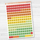 5 Months Colored Square Mini Date Dots | Square F17 | B-021