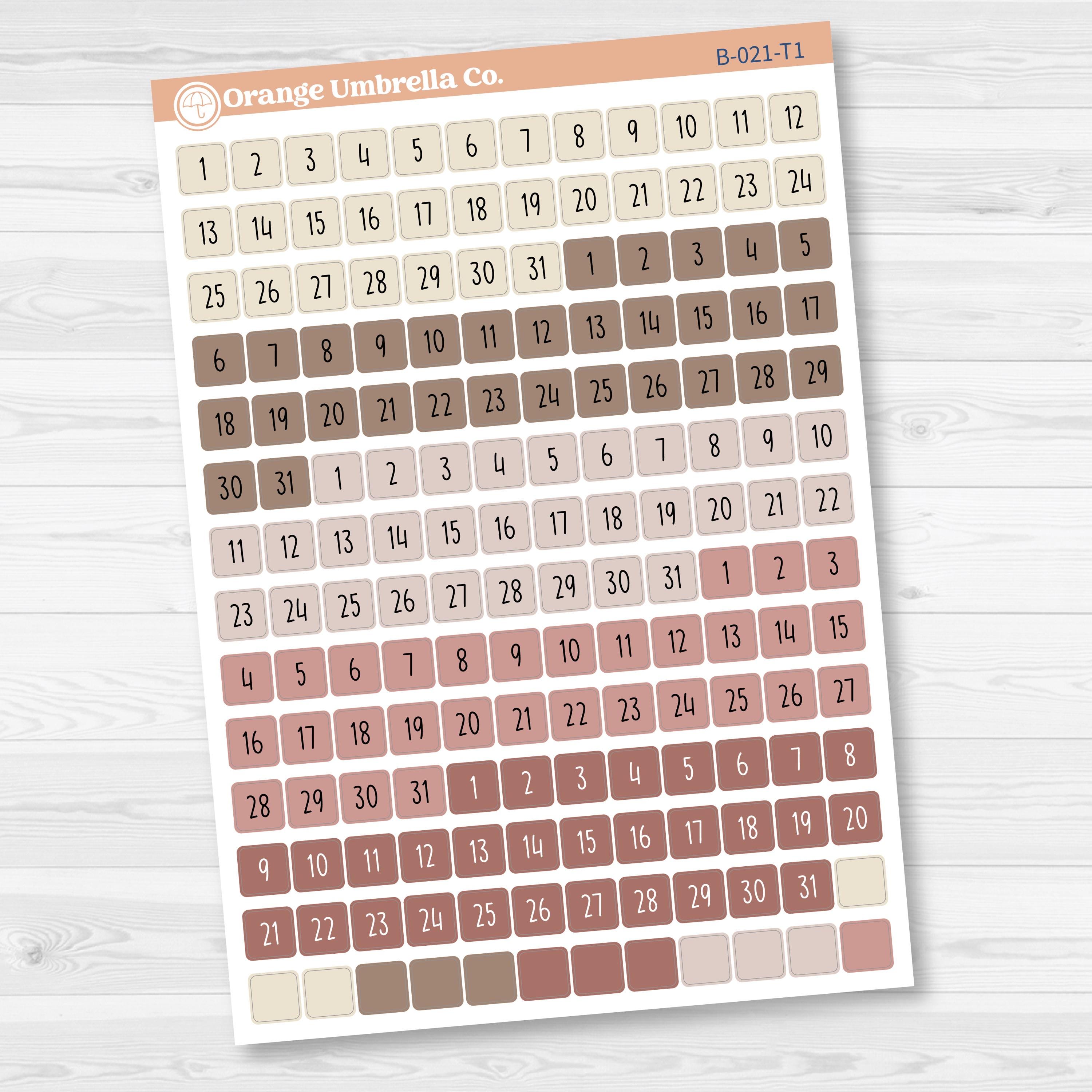 5 Months Colored Square Mini Date Dots | Square F17 | B-021