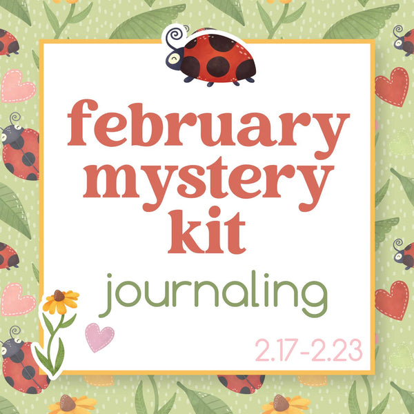 February Ladybug Mystery Kit | Journaling Kit Planner Stickers | Little Lady | KIT-MK35-D