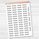Birthday Script Planner Stickers | F8 | S-186