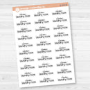 Clean Laundry Room Script Planner Stickers | F17 | S-221