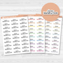 Clean Laundry Room Script Planner Stickers | F17 | S-221