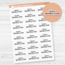 Clean Laundry Room Script Planner Stickers | F17 | Clear Matte | S-221-BCM
