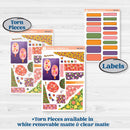 Summer Fruit Kit | Journaling Kit Planner Stickers | Ripe | KIT-389-D