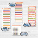 Summer Fruit Kit | A5 Compact Vertical Planner Kit Stickers for Erin Condren | Ripe | KIT-389-G