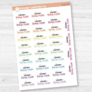Clean Bonus Room Script Planner Stickers | F17 | S-217