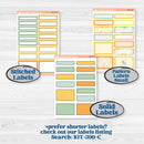 Bee Planner Kit | A5 Daily Duo Planner Kit Stickers | Buzz Off | KIT-390-L