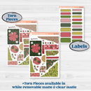 Tropical Summer Kit | Journaling Kit Planner Stickers | Borneo | KIT-395-D