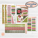 Tropical Summer Kit | Journaling Kit Planner Stickers | Borneo | KIT-395-D