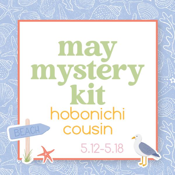 Summer Beach Mystery Kit | Hobonichi Cousin Weekly & Daily Planner Kit Stickers | Beach Combing | KIT-MK38-E