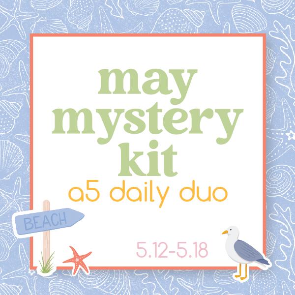Summer Beach Mystery Kit | A5 Daily Duo Planner Kit Stickers | Beach Combing | KIT-MK38-L
