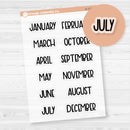 Months Planner Stickers; Medium Sized | F8 | Clear Matte | B-220-BCM
