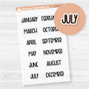 Mini Months Planner Stickers | F8 | Clear Matte | B-221-BCM
